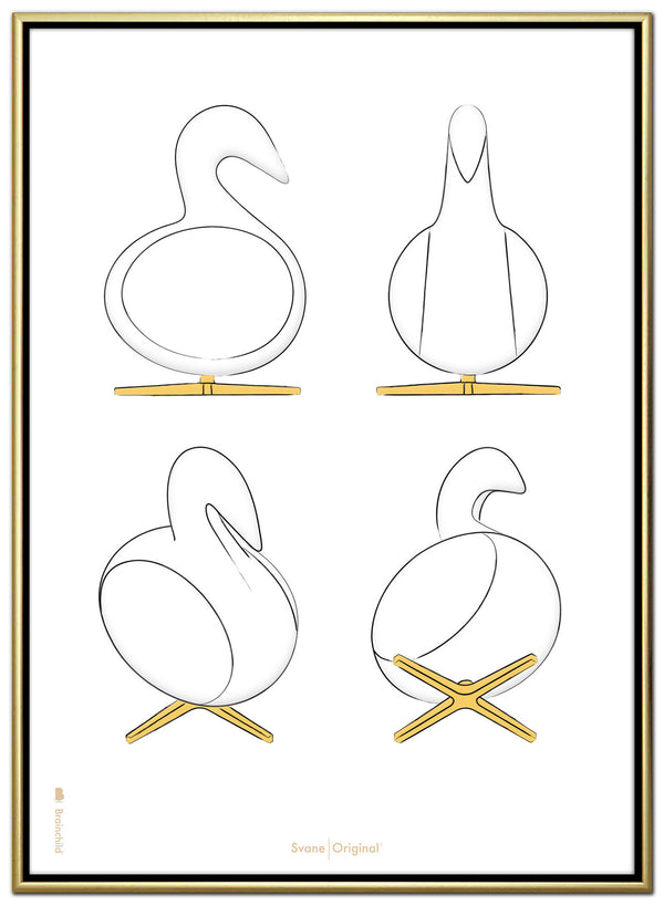 Brainchild – Canvas Print – Design Sketches – White – Swan