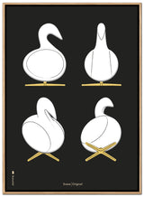 Brainchild – Canvas Print – Design Sketches – Black – Swan