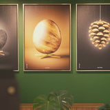 Brainchild – Canvas Print – Classic – Yellow - Pine Cone