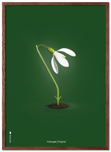 Brainchild - Poster - Classic - Green - Snowdrop