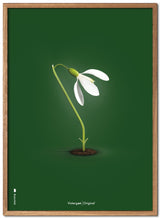 Brainchild - Poster - Classic - Green - Snowdrop